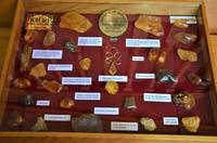 Kauri Museum - Harzarten