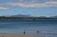 Lake Taupo