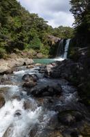 Tawhai Falls Walk