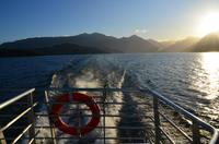 Bootsfahrt zur Glühwürmchen Höhle