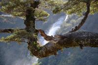 Milford Foreshore Walk