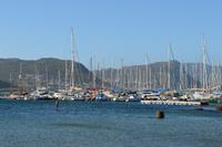 Südafrika - Simons Town