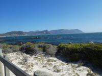 Südafrika - Boulder`s Beach