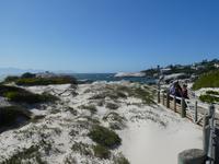 Südafrika - Boulder`s Beach