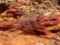 Südafrika - Kap der Guten Hoffnung