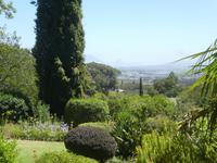 Südafrika - Weingut Delheim