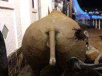 Südafrika - Kapstadt - Victoria & Alfred Waterfront