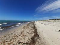 Wanderung Darßer Ort (Weststrand)