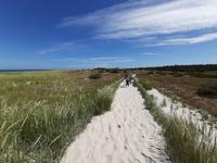 Wanderung Darßer Ort 