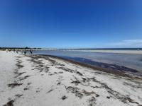 Wanderung Darßer Ort (Nordstrand bei Prerow)