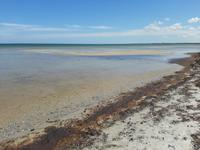 Wanderung Darßer Ort (Nordstrand bei Prerow)