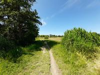 Wanderung von Ahrenshoop nach Althagen