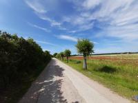 Wanderung von Althagen nach Wustrow