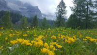 Naturparl Adamello Brenta