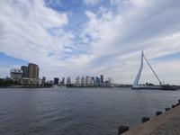 Flusskreuzfahrt mit A-ROSA FLORA • Stadtrundfahrt in Rotterdam, Erasmusbrücke