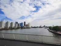 Flusskreuzfahrt mit A-ROSA FLORA • Stadtrundfahrt in Rotterdam