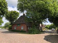 Föhr