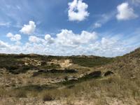 Amrum