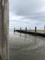 Hafen von Föhr ohne Wasser