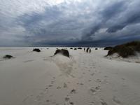 Amrum