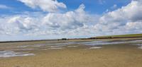 das Wattenmeer
