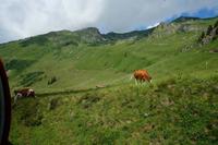 Dort nach oben wollen wir