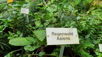 Im Botanischen Garten von Dresden