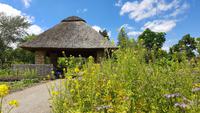 Im Botanischen Garten von Dresden