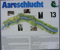 Tag 2 - 1 - Aareschlucht (2)
