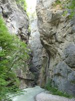 Tag 2 - 1 - Aareschlucht (6)