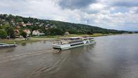 Dampfer auf der Elbe in Dresden