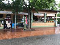 Schnell noch ein Souvenir: Spreewälder Gurken