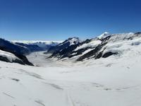 auf dem Jungfraujoch... - Blick zum Aletschgletscher 