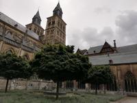 IMG_20200725_144405