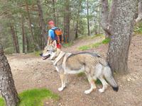 Wanderung im UNESCO-Weltnaturerbe Gletschertal von Madriu