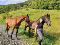Wanderung im  Naturpark Comapedrosa zur gleichnamigen Schutzhütte