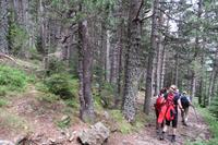 Wanderung im  Naturpark Comapedrosa zur gleichnamigen Schutzhütte