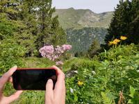 Wandern im Tal von Incles (Vall d'Incles)