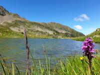 Gipfelbesteigung in Sorteny Naturpark zum Gipfel Pic de l’Estanyó