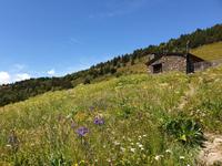 Gipfelbesteigung in Sorteny Naturpark zum Gipfel Pic de l’Estanyó