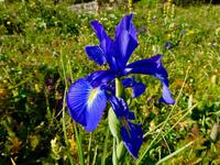 Gipfelbesteigung in Sorteny Naturpark zum Gipfel Pic de l’Estanyó