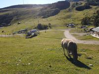 Wanderung Grau Roig entlang der malerischen 15 Bergseen