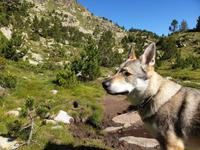 Wanderung Grau Roig entlang der malerischen 15 Bergseen