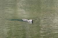 Wanderung Grau Roig entlang der malerischen 15 Bergseen