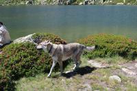 Wanderung Grau Roig entlang der malerischen 15 Bergseen