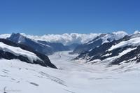 Jungfraujoch - Blick auf den Aletsch Gletscher - größter Gletscher der Alpen