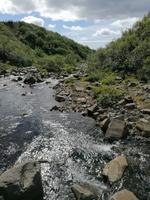 Skaftafell Nationalpark