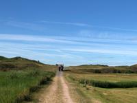 Planwagenfahrt Texel