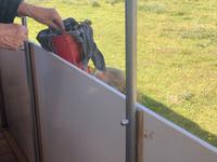 Planwagenfahrt Texel