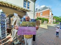 Rundreise Nordfriesland - Stadtrundgang in Husum - Husumer Krokusblüte